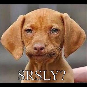 Meet your Posher, Trudy